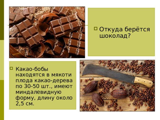 Откуда берётся шоколад? Какао-бобы находятся в мякоти плода какао-дерева по 30-50 шт., имеют миндалевидную форму, длину около 2,5 см. 