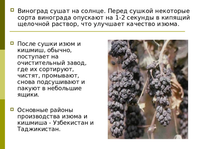 Виноград сушат на солнце. Перед сушкой некоторые сорта винограда опускают на 1-2 секунды в кипящий щелочной раствор, что улучшает качество изюма. После сушки изюм и кишмиш, обычно, поступает на очистительный завод, где их сортируют, чистят, промывают, снова подсушивают и пакуют в небольшие ящики. Основные районы производства изюма и кишмиша - Узбекистан и Таджикистан.   