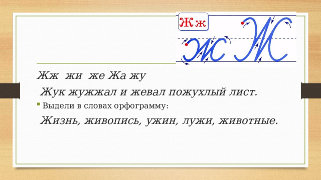 Жж жи же Жа жу  Жук жужжал и жевал пожухлый лист. Выдели в словах орфограмму:  Жизнь, живопись, ужин, лужи, животные.   