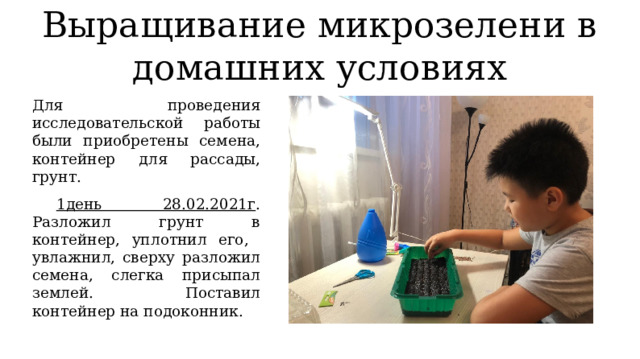 Выращивание микрозелени в домашних условиях Для проведения исследовательской работы были приобретены семена, контейнер для рассады, грунт.  1день 28.02.2021г . Разложил грунт в контейнер, уплотнил его, увлажнил, сверху разложил семена, слегка присыпал землей. Поставил контейнер на подоконник. 