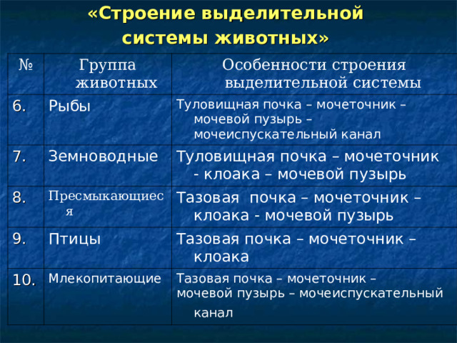 «Строение выделительной системы животных»  № Группа животных 6. Особенности строения выделительной системы Рыбы 7. Туловищная почка – мочеточник – мочевой пузырь – мочеиспускательный канал Земноводные 8. 9. Туловищная почка – мочеточник - клоака – мочевой пузырь  Пресмыкающиеся Тазовая почка – мочеточник – клоака - мочевой пузырь  Птицы 10. Тазовая почка – мочеточник – клоака  Млекопитающие Тазовая почка – мочеточник – мочевой пузырь – мочеиспускательный канал  