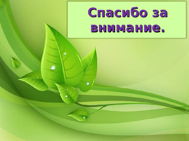 Спасибо за внимание. 