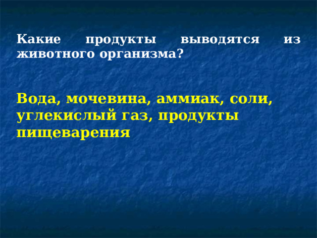Какие продукты выводятся из животного организма? Вода, мочевина, аммиак, соли, углекислый газ, продукты пищеварения 