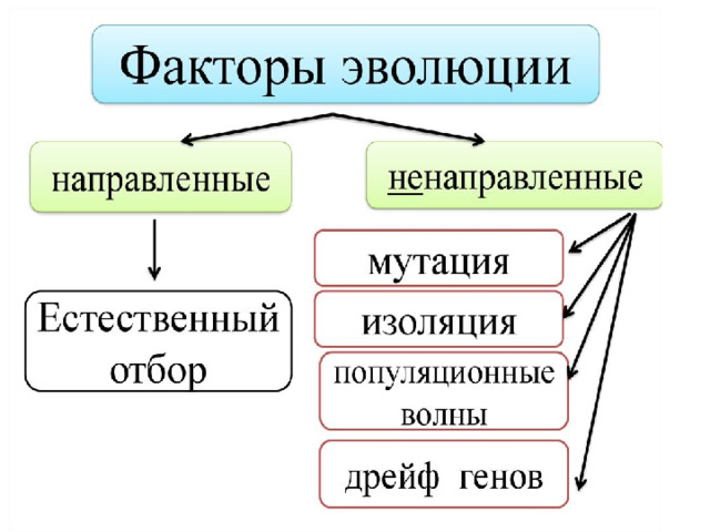 Схема факторов эволюции