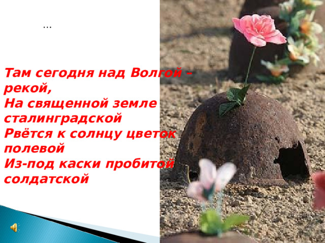 … Там сегодня над Волгой – рекой,  На священной земле сталинградской  Рвётся к солнцу цветок полевой  Из-под каски пробитой солдатской 
