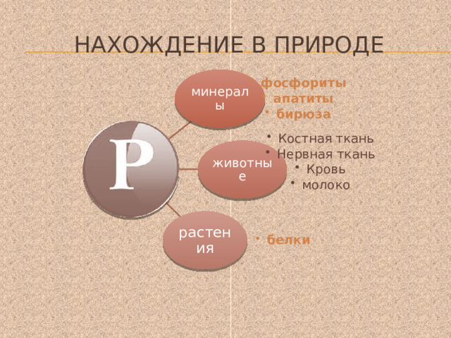 Нахождение в природе минералы фосфориты апатиты бирюза фосфориты апатиты бирюза животные Костная ткань Нервная ткань Кровь молоко Костная ткань Нервная ткань Кровь молоко растения белки белки 