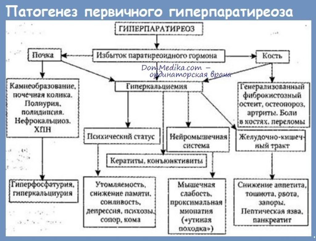 Гиперпаратиреоз патофизиология презентация