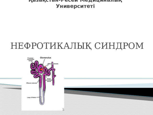 Қазақстан-Ресей Медициналық Университеті НЕФРОТИКАЛЫҚ СИНДРОМ 