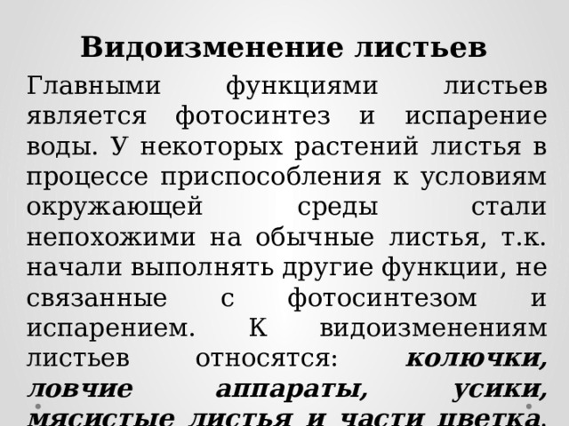 Видоизменение листьев Главными функциями листьев является фотосинтез и испарение воды. У некоторых растений листья в процессе приспособления к условиям окружающей среды стали непохожими на обычные листья, т.к. начали выполнять другие функции, не связанные с фотосинтезом и испарением. К видоизменениям листьев относятся: колючки, ловчие аппараты, усики, мясистые листья и части цветка . Эти видоизменения выполняют различные функции. 