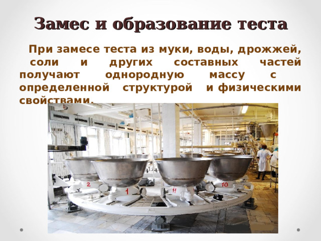 Замес и образование теста При замесе теста из муки, воды, дрожжей, соли и других составных частей получают однородную массу с определенной структурой и физическими свойствами.  