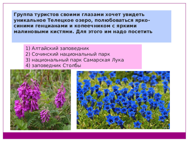 Группа туристов своими глазами хочет увидеть уникальное Телецкое озеро, полюбоваться ярко-синими генцианами и копеечником с яркими малиновыми кистями. Для этого им надо посетить   1) Алтайский заповедник 2) Сочинский национальный парк 3) национальный парк Самарская Лука 4) заповедник Столбы 