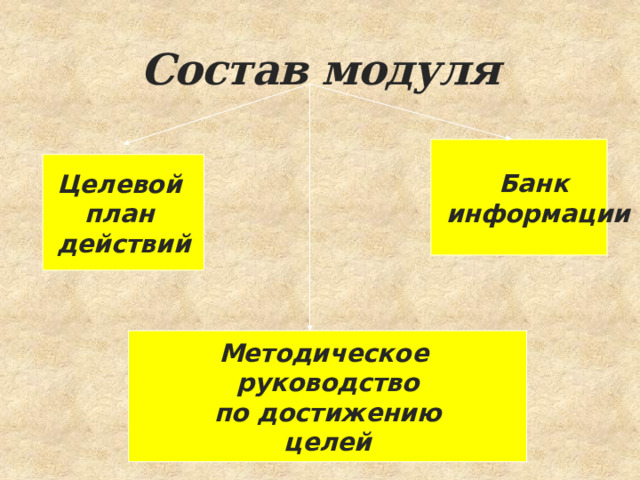 Состав модуля Банк  информации Целевой план действий Методическое руководство по достижению целей 