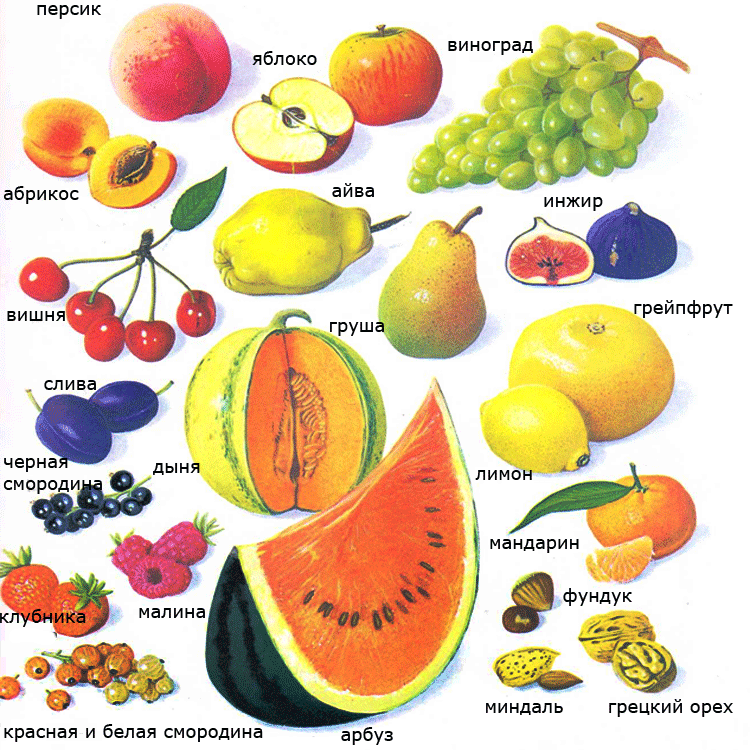 Список полных фруктов. Овощи и фрукты названия. Овощи, фрукты, ягоды. Название фруктов. Название овощей фруктов и ягод.