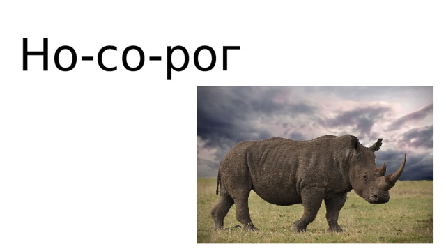 Но-со-рог 