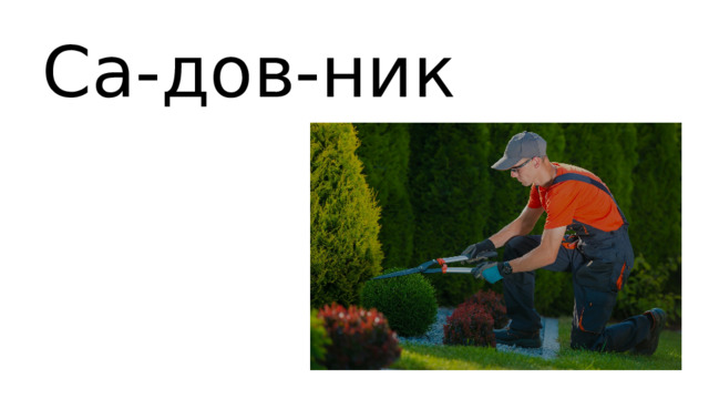 Са-дов-ник 