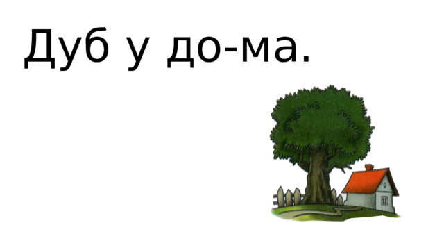 Дуб у до-ма. 