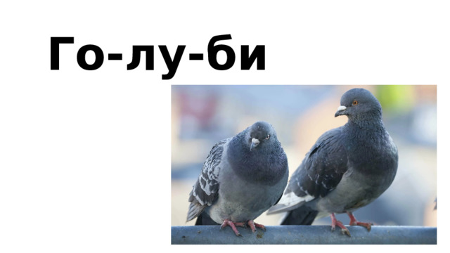 Го-лу-би 
