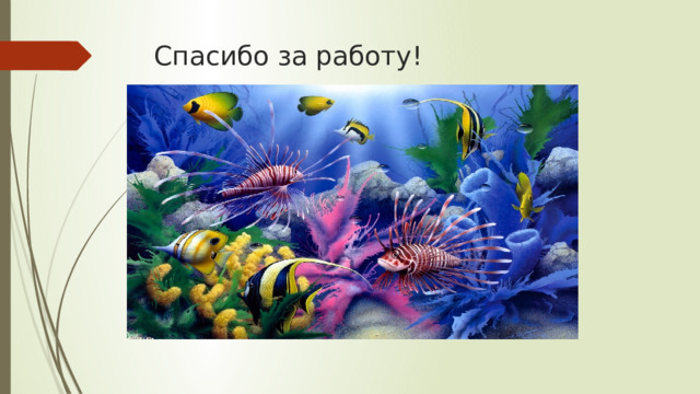 Спасибо за работу! 