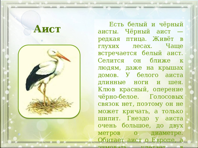 Многообразие птиц - Начальные классы - Презентации - 2 класс