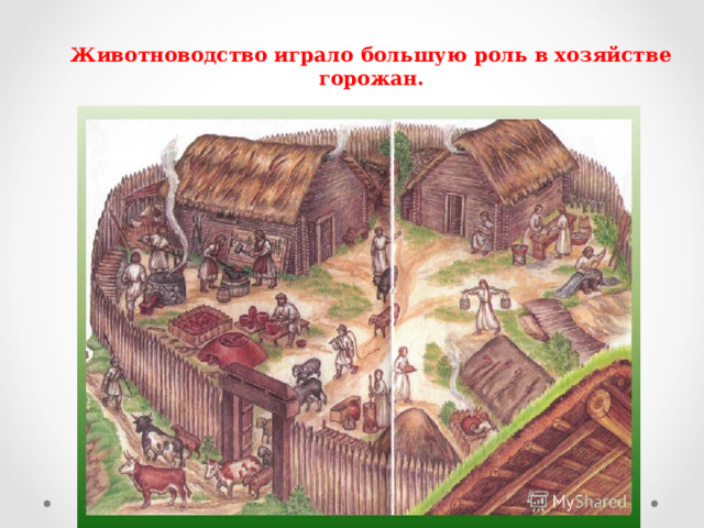 Животноводство играло большую роль в хозяйстве горожан. 