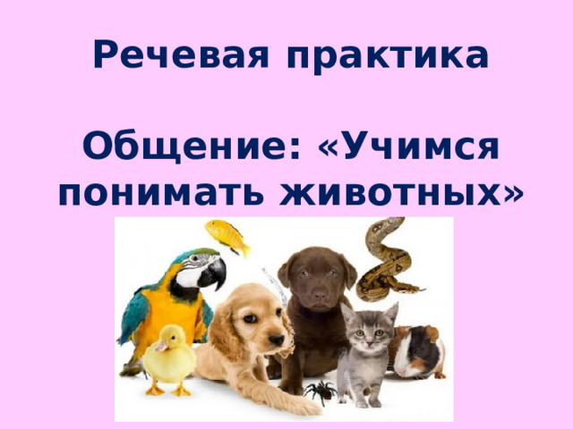 Речевая практика 3 класс презентации. Речевые практики. Урок речевая практика. Животные в лесу речевая практика. Понимающее животное.