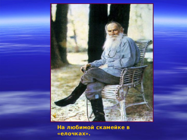   На любимой скамейке в «елочках». 