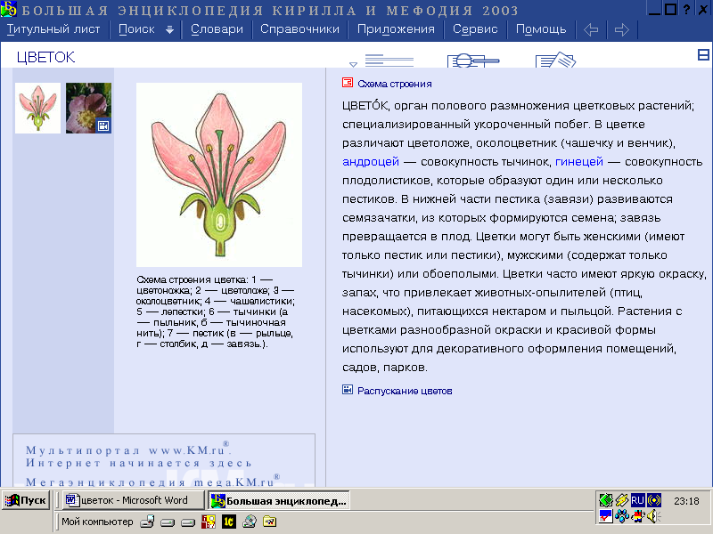 Какие части цветка привлекают насекомых 6. Служит для привлечения насекомых-опылителей.. Венчик привлекает опылителей.