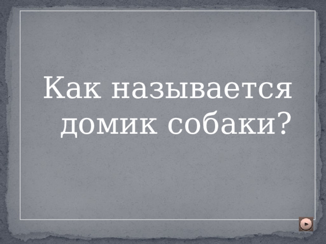 Как называется домик собаки? 