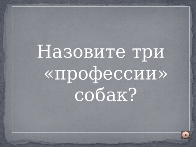 Назовите три «профессии» собак? 