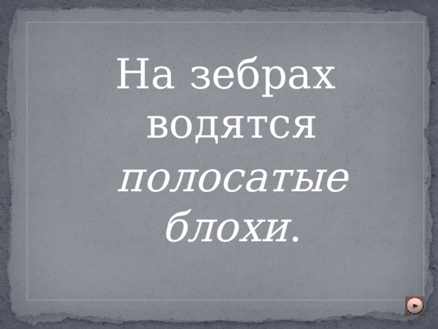 На зебрах водятся  полосатые блохи . 