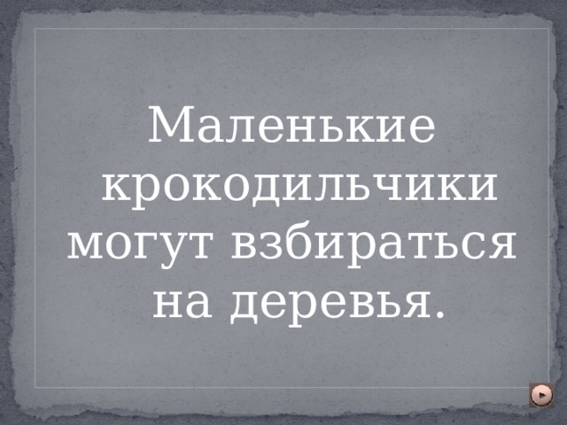 Маленькие крокодильчики могут взбираться на деревья. 