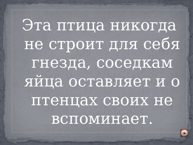 Эта птица никогда не строит для себя гнезда, соседкам яйца оставляет и о птенцах своих не вспоминает. 