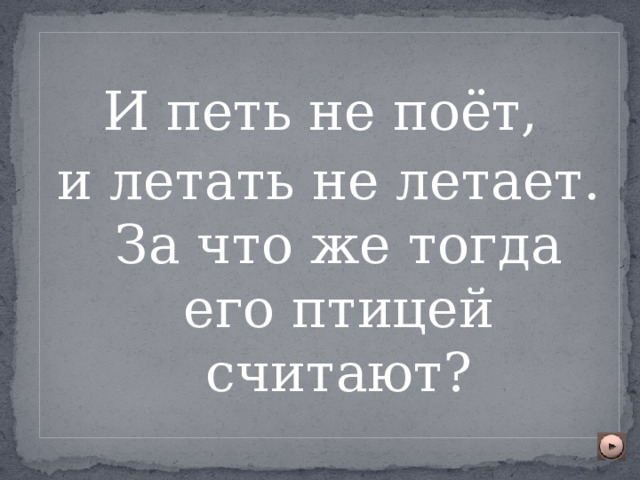 И петь не поёт, и летать не летает. За что же тогда его птицей считают? 