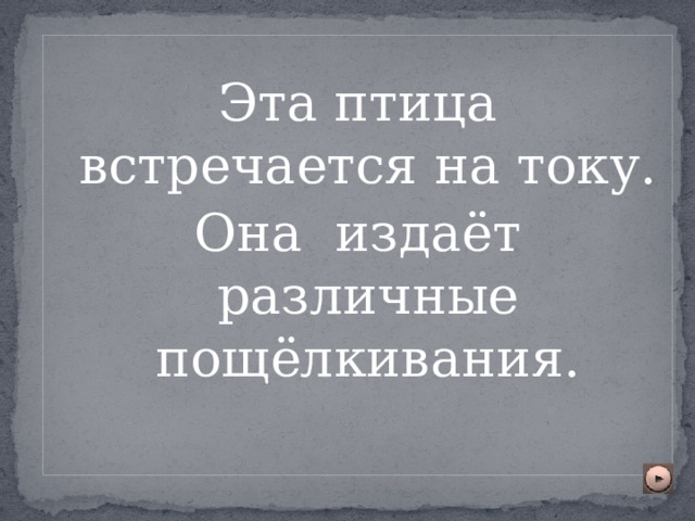 Эта птица встречается на току. Она издаёт различные пощёлкивания . 