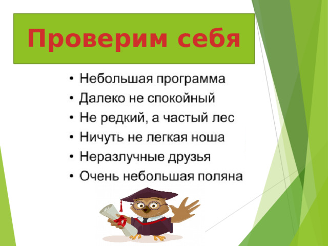 Проверим себя 