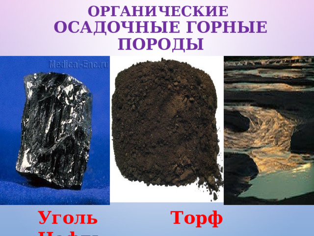 ОРГАНИЧЕСКИЕ  ОСАДОЧНЫЕ ГОРНЫЕ ПОРОДЫ  Уголь Торф Нефть 