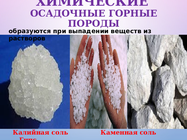 ХИМИЧЕСКИЕ   ОСАДОЧНЫЕ ГОРНЫЕ ПОРОДЫ образуются при выпадении веществ из растворов  Калийная соль Каменная соль Гипс 