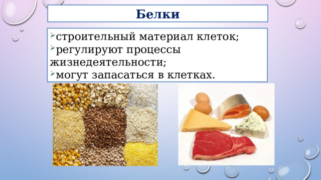 Презентация на тему "Клетка-элементарная единица жизни на Земле" - скачать презе