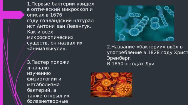 1.Первые бактерии увидел в оптический микроскоп и описал в 1676 году голландский натуралист Антони ван Левенгук. Как и всех микроскопических существ, он назвал их «анималькули». 2.Название «бактерии» ввёл в употребление в 1828 году Христиан Эренберг. В 1850-х годах Луи 3.Пастер положил начало изучению физиологии и метаболизма бактерий, а также открыл их болезнетворные свойства. 