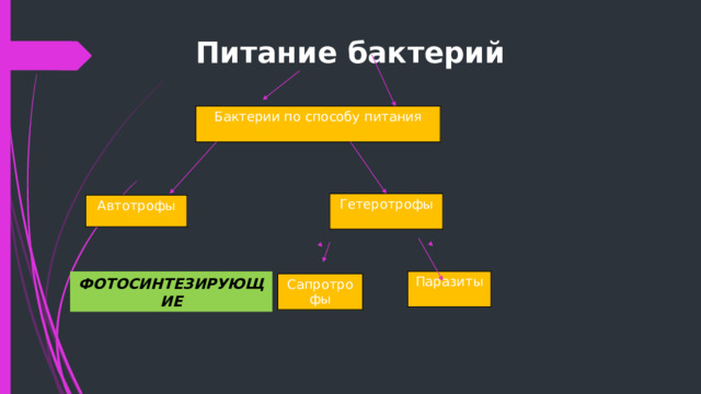 Питание бактерий Бактерии по способу питания Гетеротрофы Автотрофы ФОТОСИНТЕЗИРУЮЩИЕ Паразиты Сапротрофы 