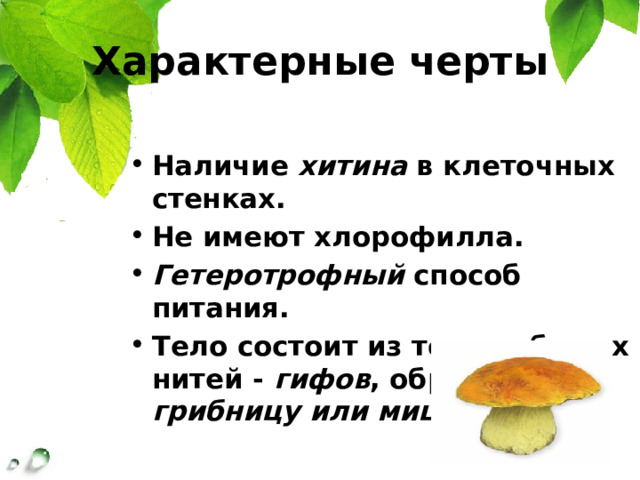 Презентация грибы общая характеристика 7 класс пасечник. Характеристика царства грибы. Особенности белого гриба. Презентация Пасечник 5 класс изменения в природе