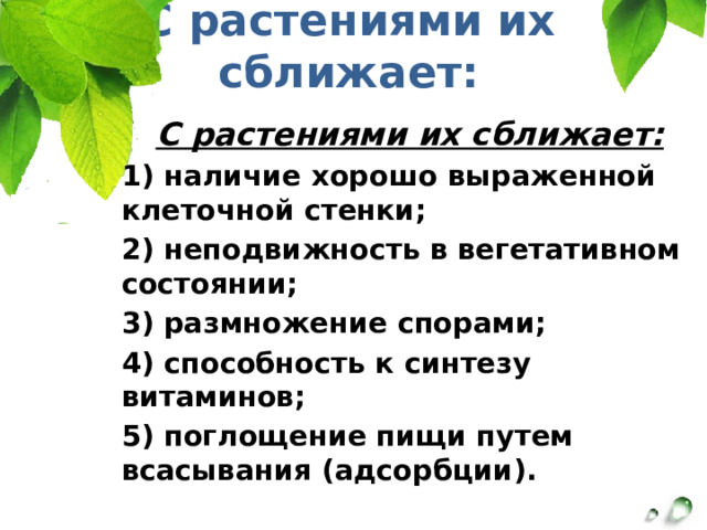 С растениями их сближает: С растениями их сближает: 1) наличие хорошо выраженной клеточной стенки; 2) неподвижность в вегетативном состоянии; 3) размножение спорами; 4) способность к синтезу витаминов; 5) поглощение пищи путем всасывания (адсорбции). 