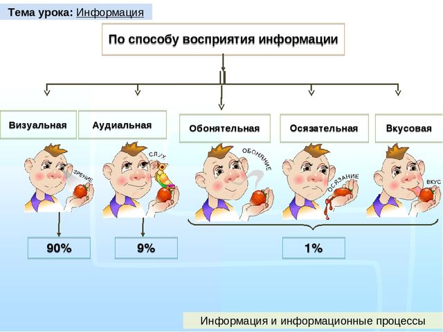 Схема восприятия информации