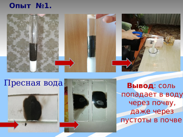 Опыт №1. Пресная вода Вывод : соль  попадает в воду  через почву,  даже через  пустоты в почве  