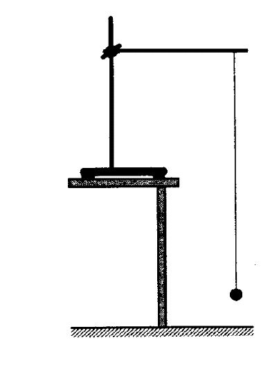 К гвоздю надо подвесить маятник состоящий из шнура и груза на столе лежит гвоздь