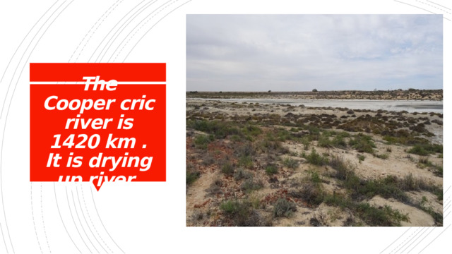 The Cooper cric river is 1420 km . It is drying up river 