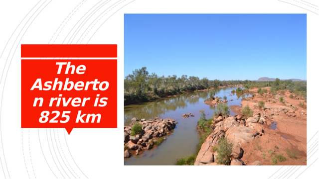 The Ashberton river is 825 km 