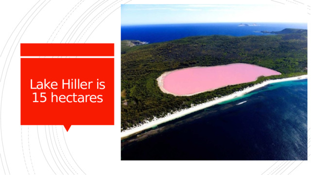 Lake Hiller is 15 hectares 
