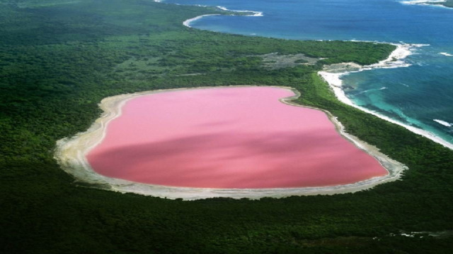 Озера австралии в основном. Озеро Ретба Сенегал. Озеро Хиллиер, Австралия. Озеро Хиллер (остров Миддл). Розовое озеро Хиллер Австралия.