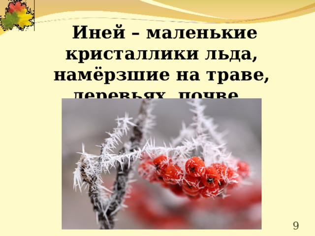  Иней – маленькие кристаллики льда, намёрзшие на траве, деревьях, почве.       